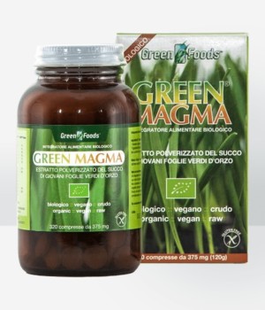 Green Magma | Tabs | 320 tab